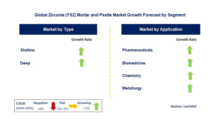 Zirconia (YSZ) Mortar and Pestle Market by Segment