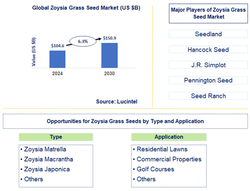 Zoysia Grass Seed Market Trends and Forecast