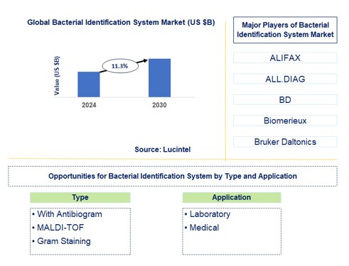 Bacterial Identification System Trends and Forecast