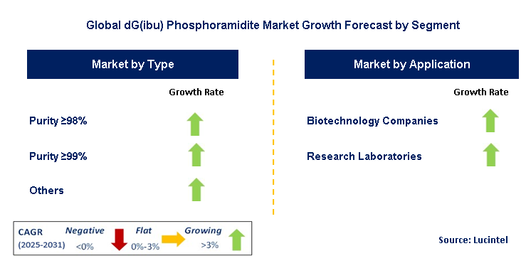 dG(ibu) Phosphoramidite Market by Segment