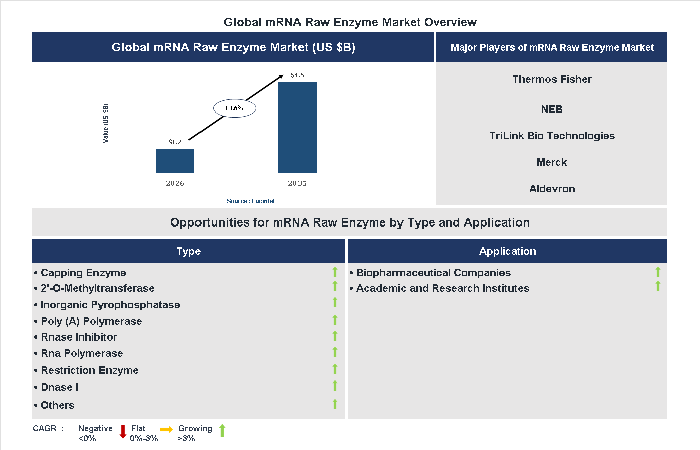 mRNA Raw Enzyme Market Trends and Forecast