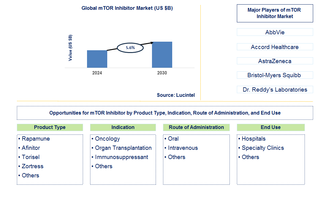 mTOR Inhibitor Trends and Forecast