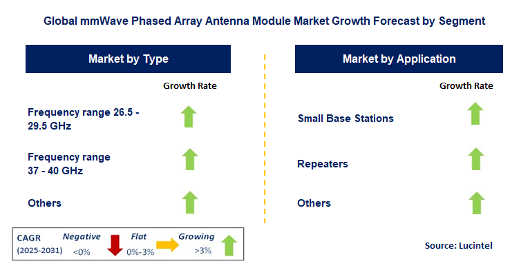 mmWave Phased Array Antenna Module Market by Segment