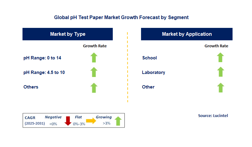 pH Test Paper Market by Segment