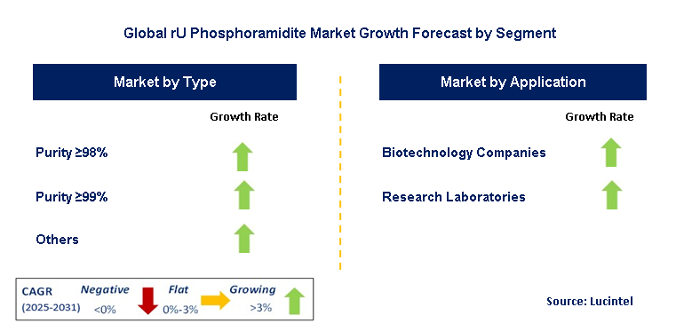 rU Phosphoramidite Market by Segment