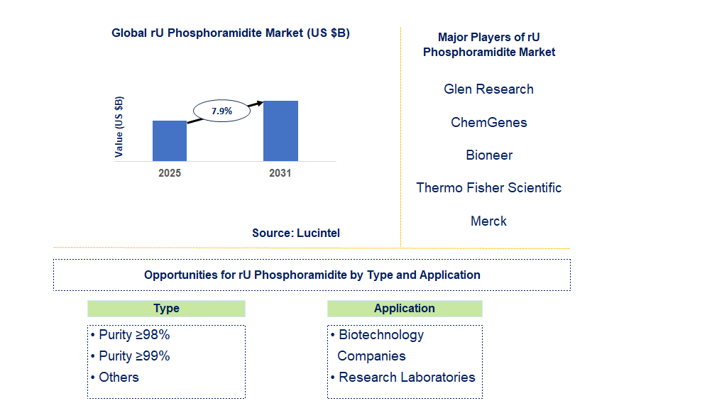rU Phosphoramidite Market Trends and Forecast